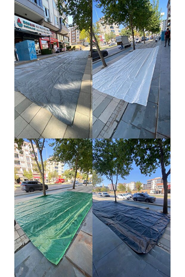 Zeytin Toplama Filesi 4x6 - 1