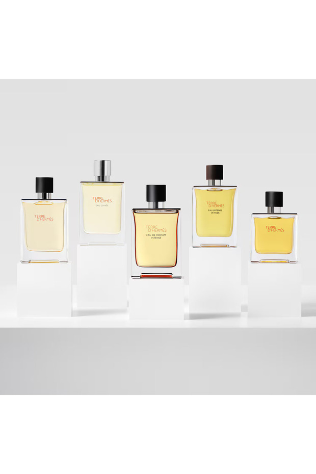 Terre d'Hermès - Eau de Parfum Intense 100 ml - 5