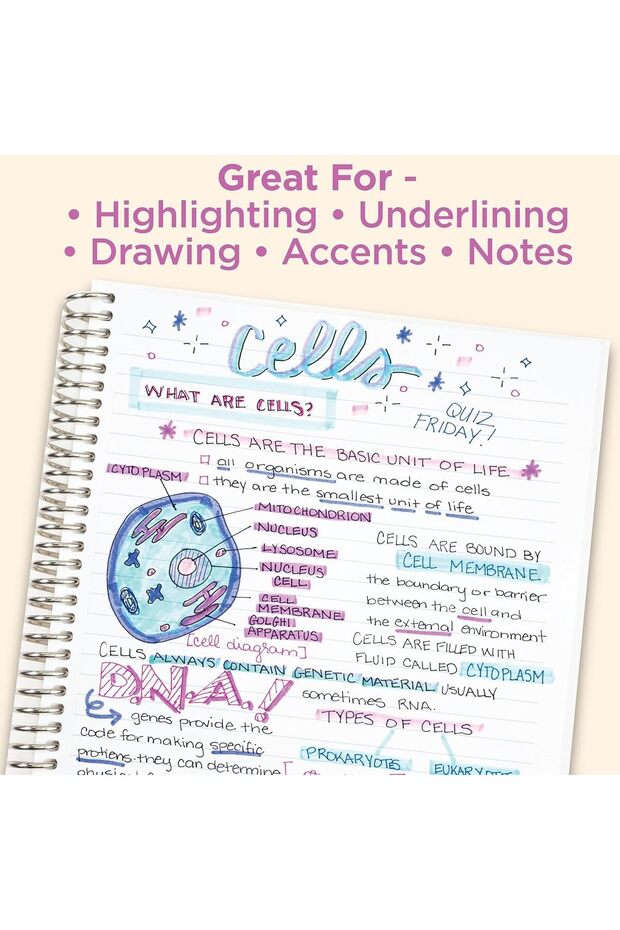 Mildliner Double-Ended Highlighter Set, Broad and Fine Point Tips, No Bleed Bible Assorted - 5