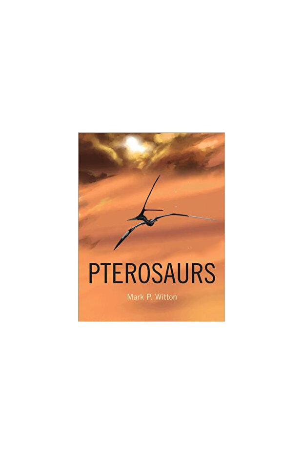 Pterosaurs: History, Evolution, Anatomy