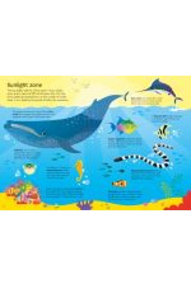 Book and Jigsaw Oceans - 8