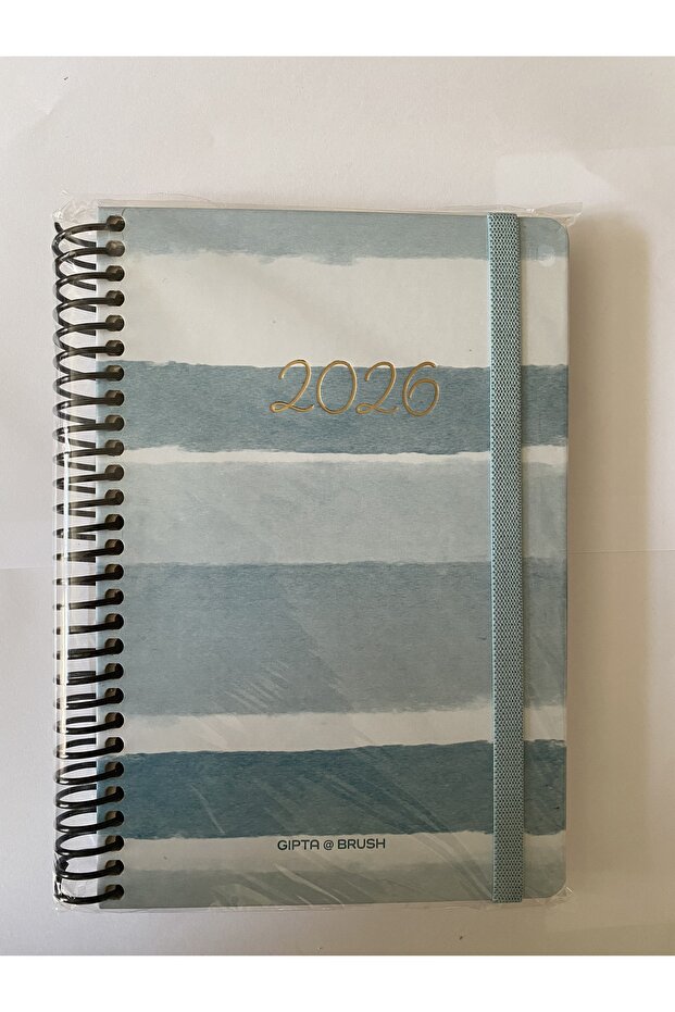Gipta 409-Bbk 17X24 Daily Agenda
