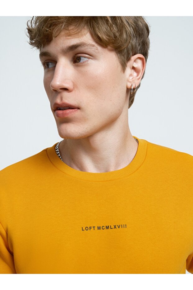 Regular Fit Erkek Sweatshirt - 2