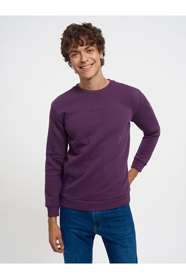 Regular Fit Erkek Sweatshirt - 2