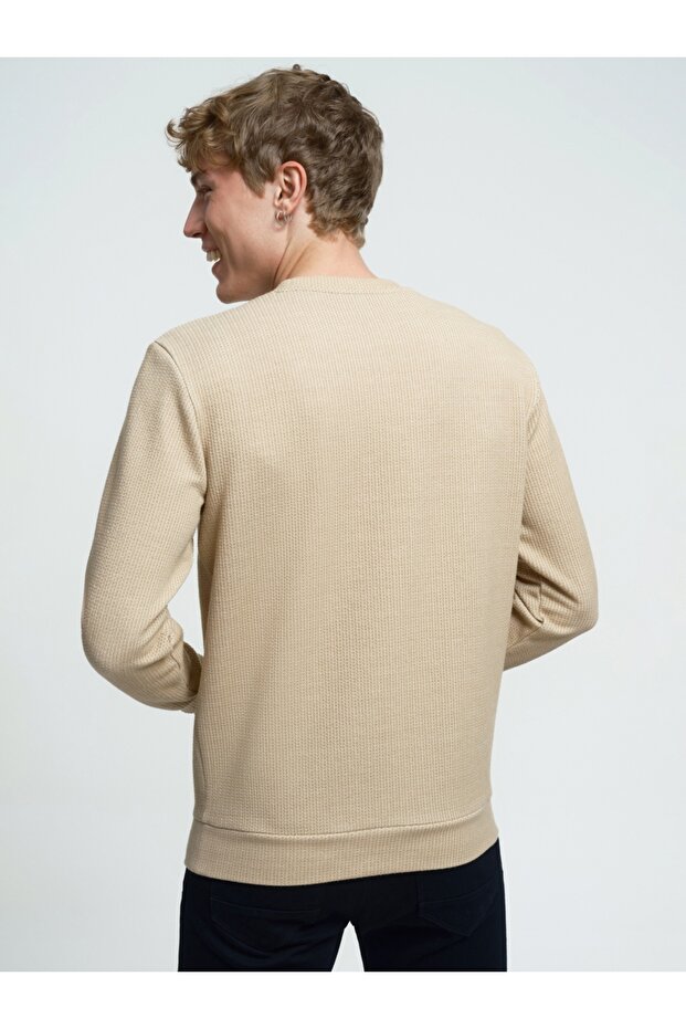 Regular Fit Erkek Sweatshirt - 2