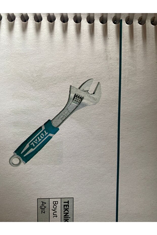 ضفدع بطول 20 سم - 1