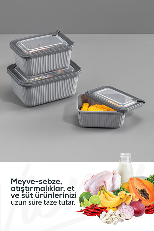 Set of 6 Vip Rectangular Microwave and Diffracted Suitable Storage Containers Gray 2X(1750,1050,600 ml) - 6