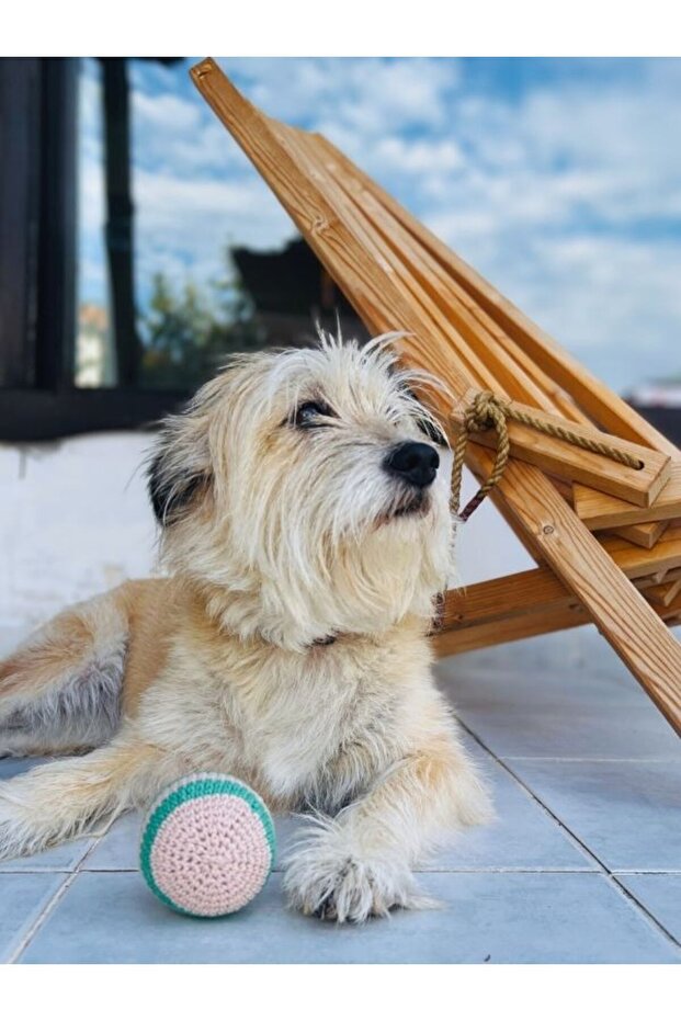 Köpek Oyuncağı Seti, Örgü Kemik ve Top| Doğa Dostu ve Pamuklu - 6