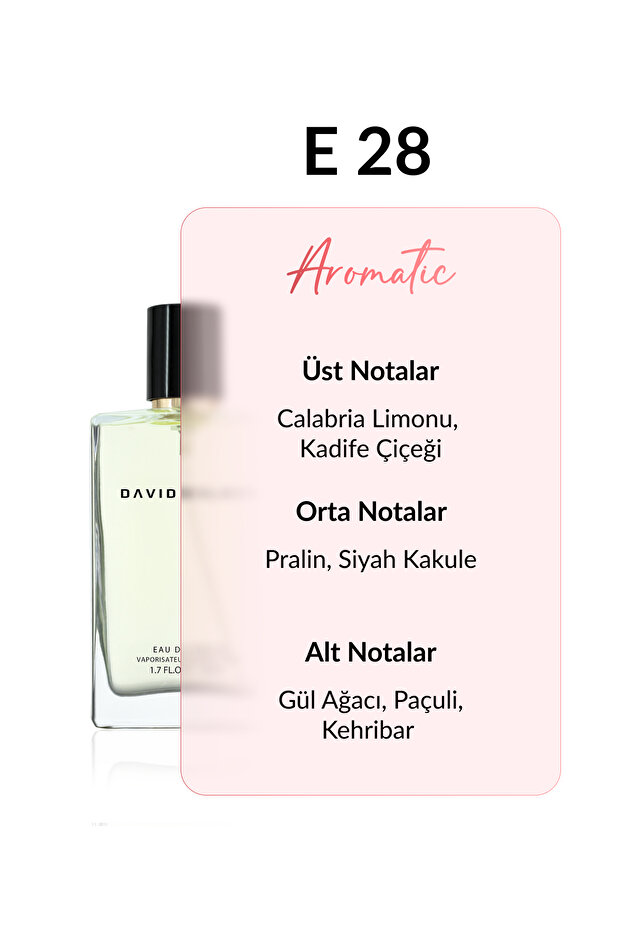 E28 Scienic 50 ml Erkek Parfüm | Aromatic - 3