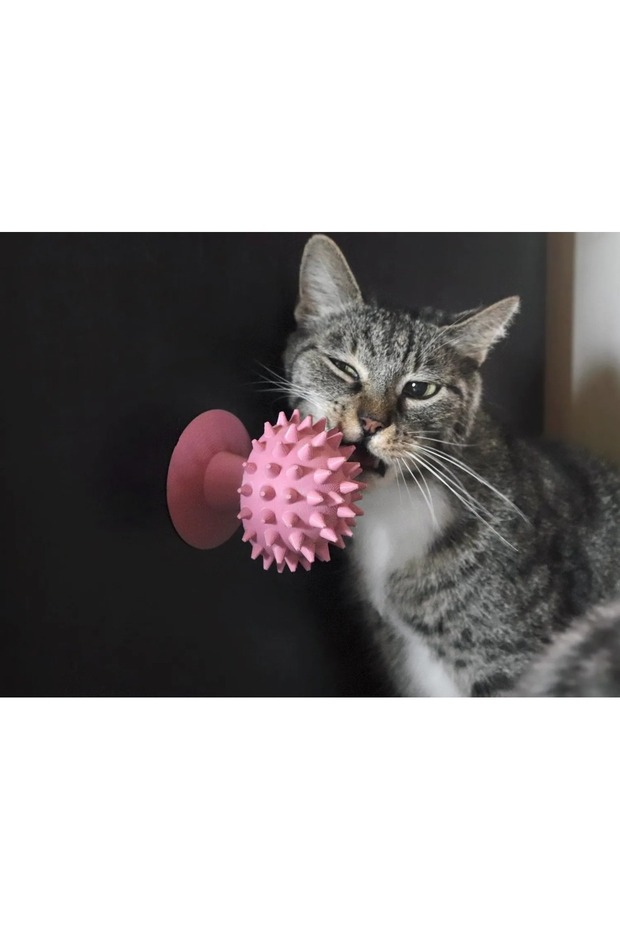 Mushroom Cat Scratching Toy (Pink Color) – Nuthouse Mushroom |   Catnip Compatible, Can Be Pasted to the Wall - 1