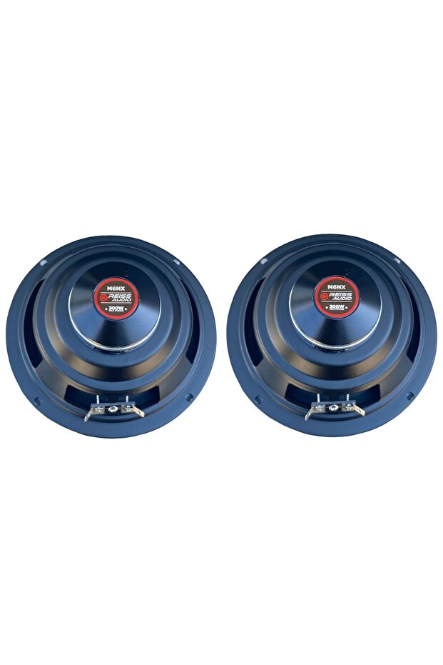 16 CM 300W REİSS M6NX 100 RMS MİDRANGE - 2