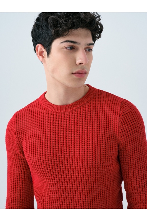 Regular Fit Erkek Kazak - 4