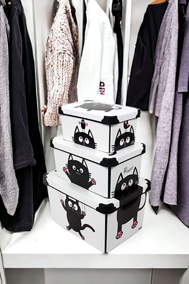 Style Box Meowdesenli 3 Parça Dekoratif Saklama Kutusu Seti - 3