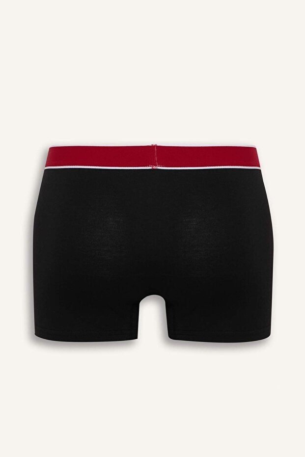 Regular Fit 3'lü Boxer F9030AX25AU - 3