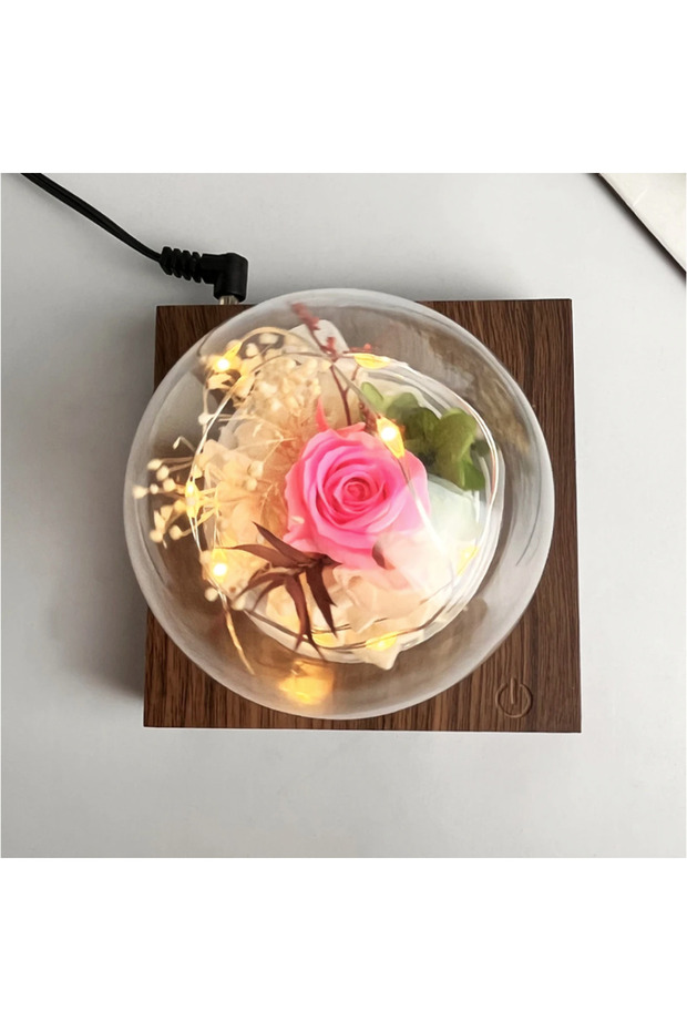 زهور حقيقية عائمة مع ضوء. قاعدة بني غامق - 5