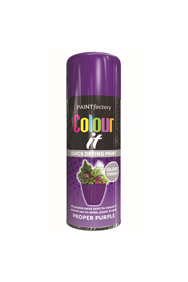 Color It Proper Purple Spray Paint 250ml