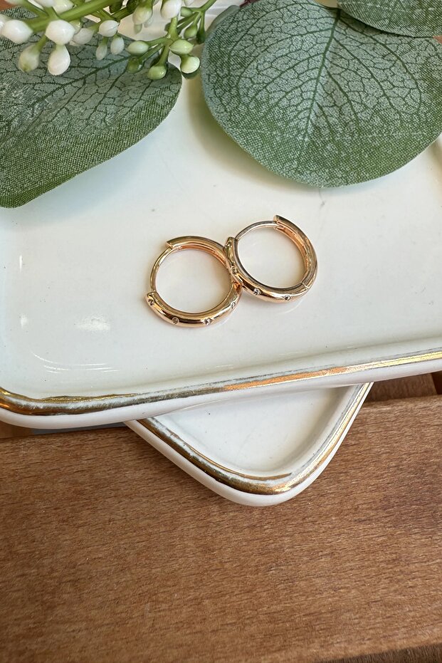 Mini Stone Detailed Hoop Steel Earrings