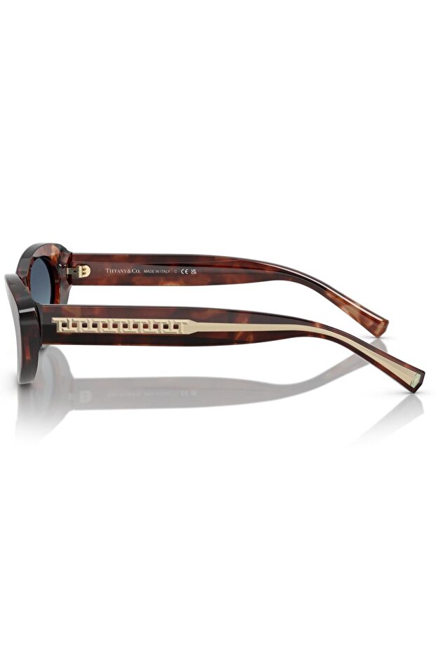 &CO 4236U 55 84219S - 3