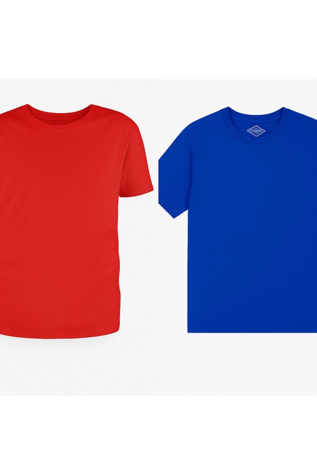 2-Pack Red and Blue Oversized Relaxed Fit Cotton Unisex T-Shirts