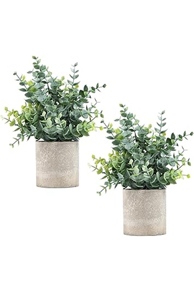 Coferset 2 Pack Small Fake Plants Eucalyptus Potted Artificial Plants for Shelf Desk Home Bathroom F