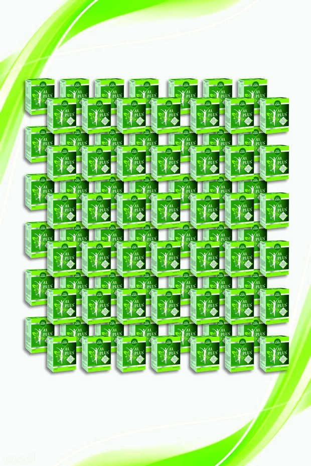 A1 Plus L-carnitine Lepidium - Bitkisel 30 Kapsül 1 Adet A1 Plus 84 adet - 2