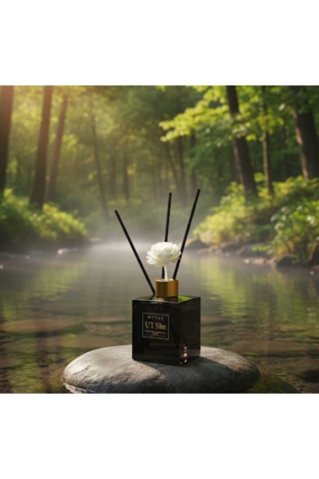 6 aromatic diffusers with bamboo sticks - 1