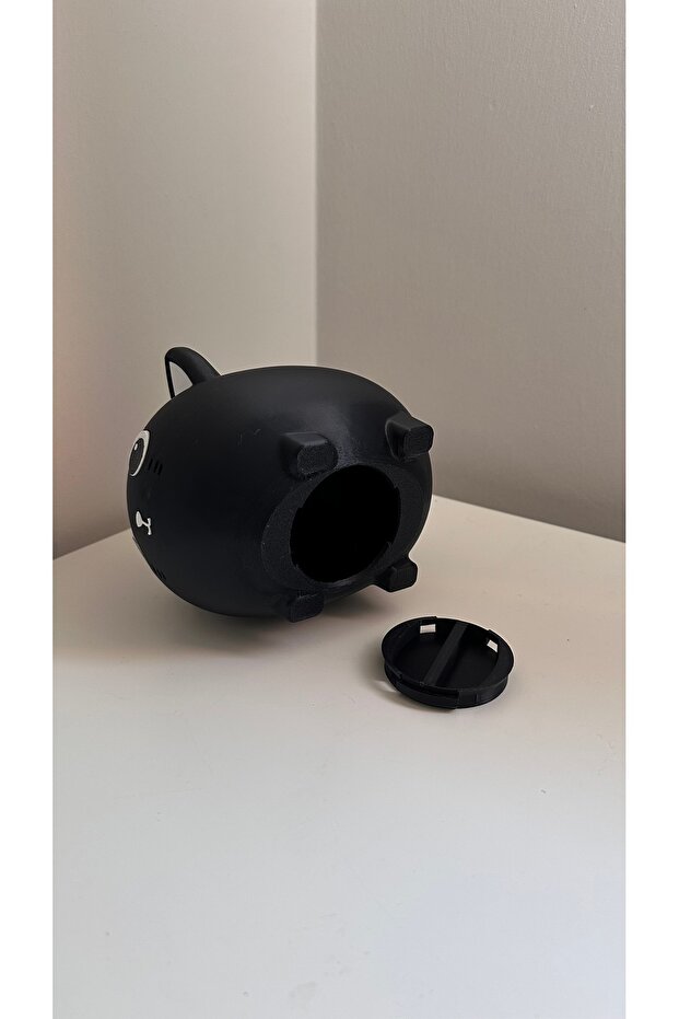 Siyah kedi kumbra - 4