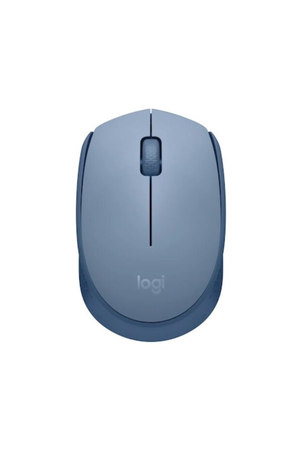 Mouse M171, Wireless, BlueGrey - 1
