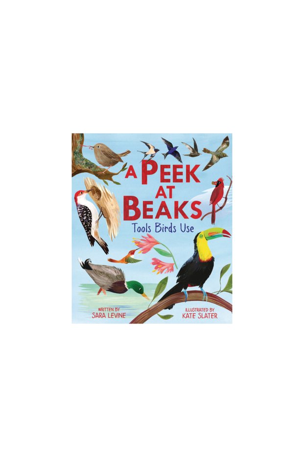 A Peek at Beaks: Tools Birds Use