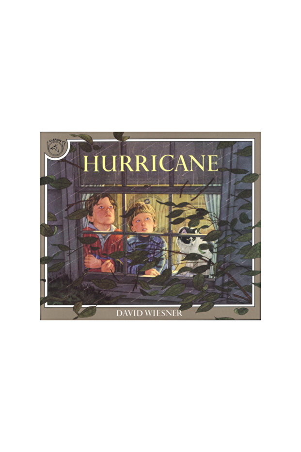 Hurricane - 1