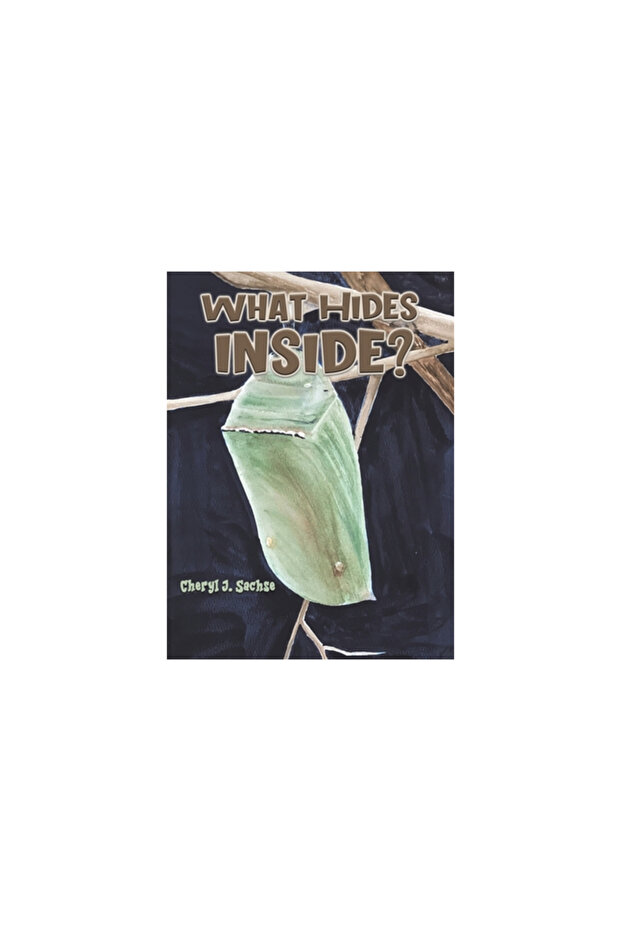 What Hides Inside? - 1