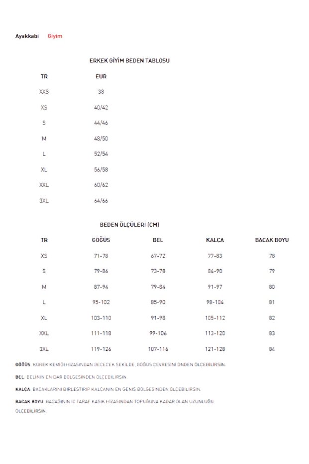 Puma 2025/2026 Yetişkin Parçalı İç Saha Taraftar Forma - 6