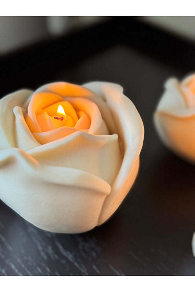 Rose Harmony Set - 8