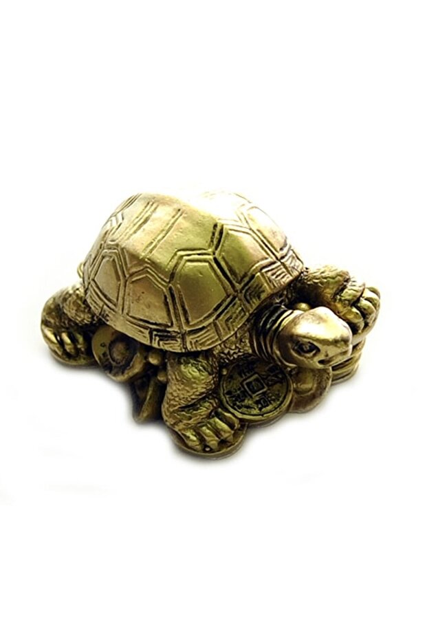 Golden turtle - 2