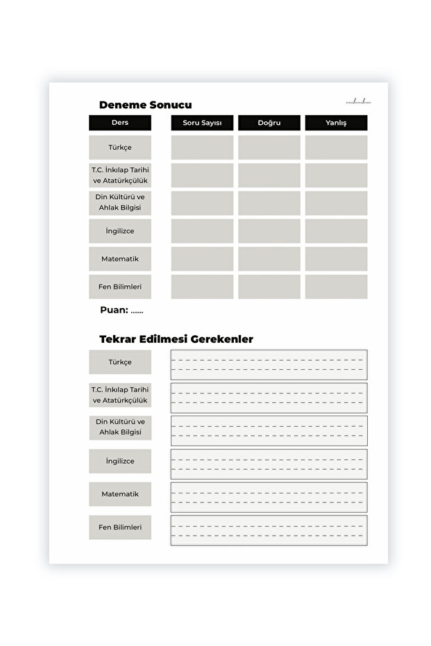 LGS Planlama defteri - 6