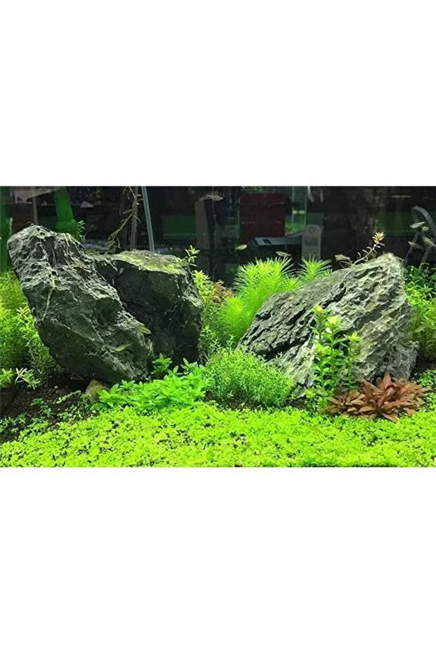 Flourish Tabs 10 pcs. - 5