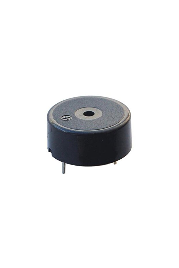IC-220 Buzzer 12 - 24 Volt Dc 23 Mm Devreli - 1