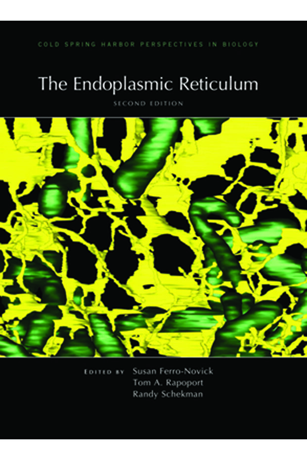 The Endoplasmic Reticulum - 1