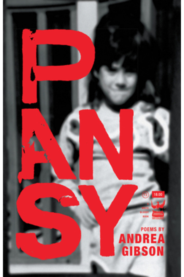 Pansy - 1