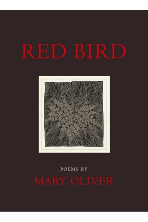Red Bird - 1