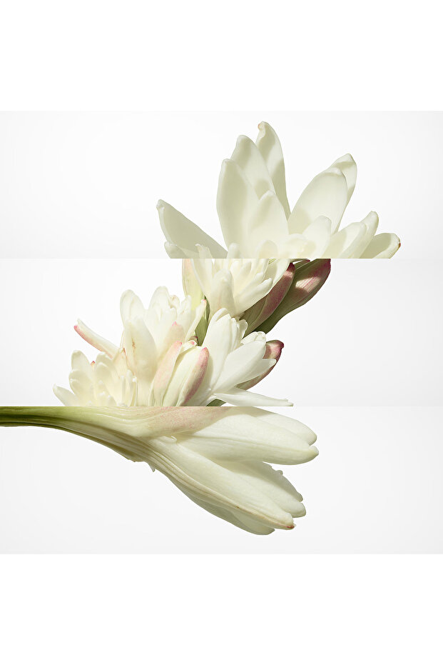 Twilly d'Hermès - Eau de Parfum 85 ml - 3