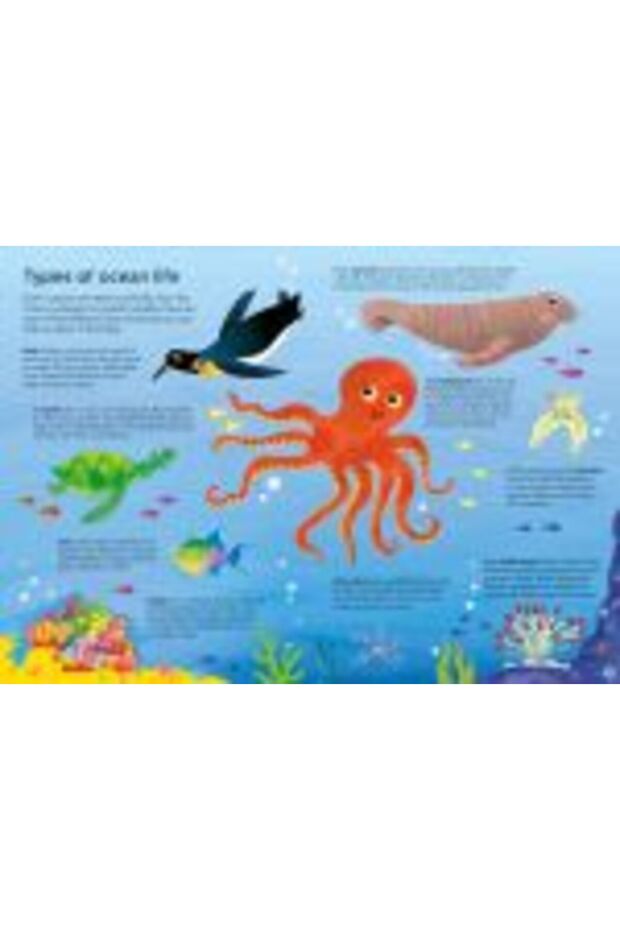 Book and Jigsaw Oceans - 7