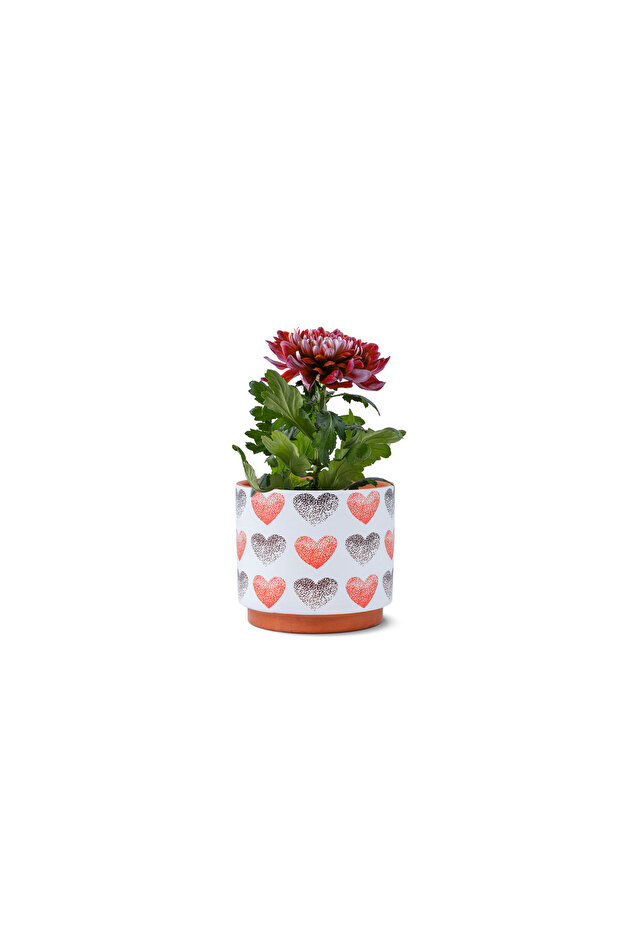 heart pattern ceramic Pot - 1