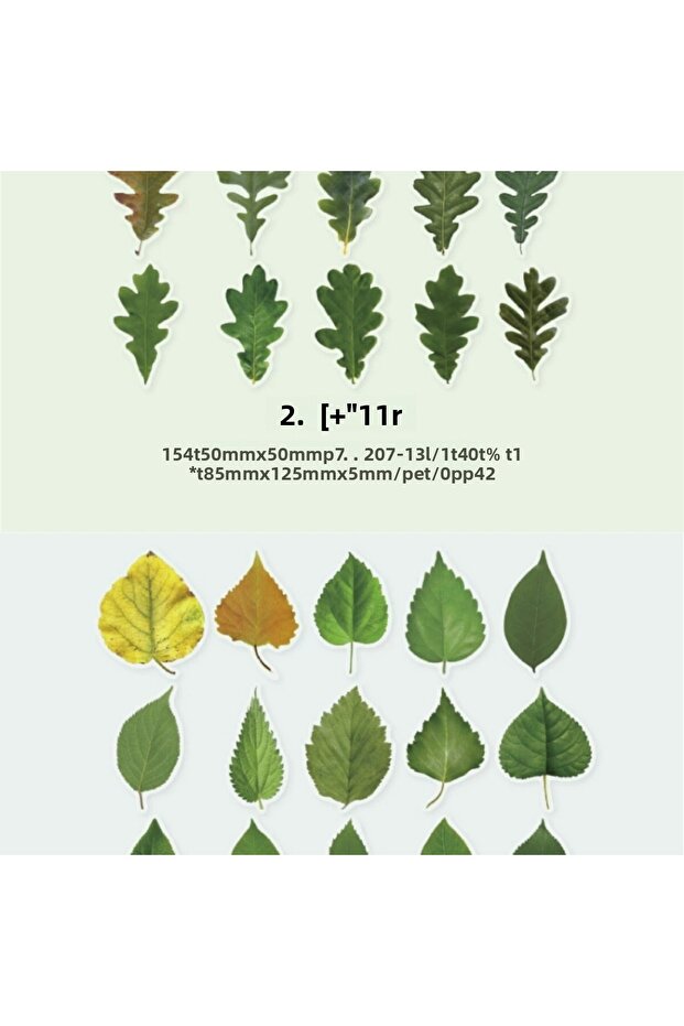 O13-Opportunity Product 40 Pieces Leaf Pet Stickers - Number: 5
