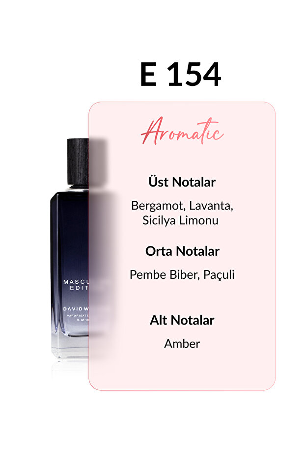 E154 Albert 100 ml Erkek Parfüm | Aromatic - 3