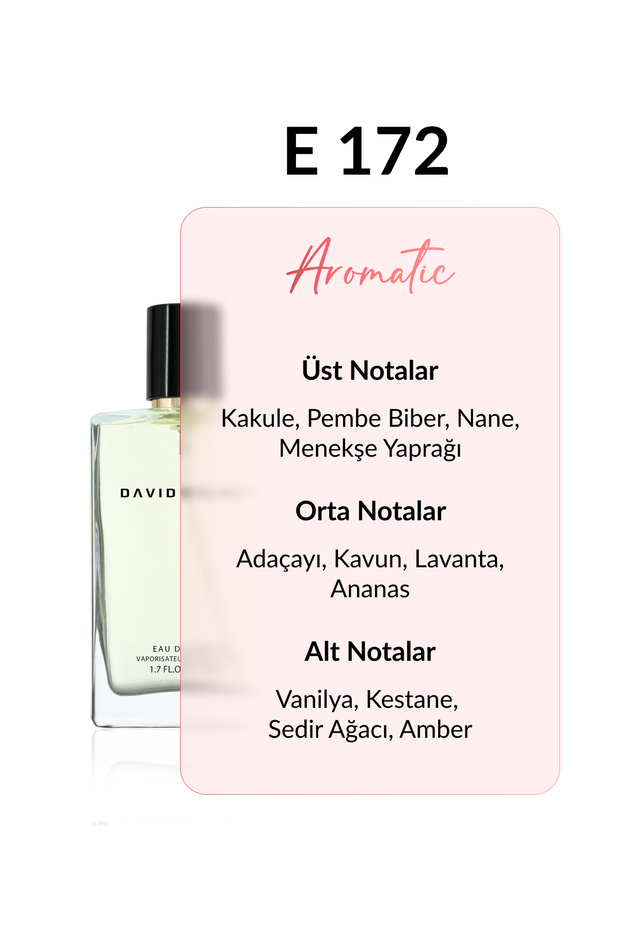 E172 Strong 50 ml Erkek Parfüm | Aromatic - 3