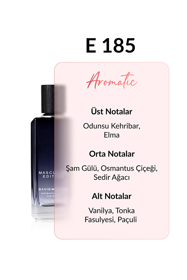 E185 Borisso 100 ml Erkek Parfüm | Aromatic - 3