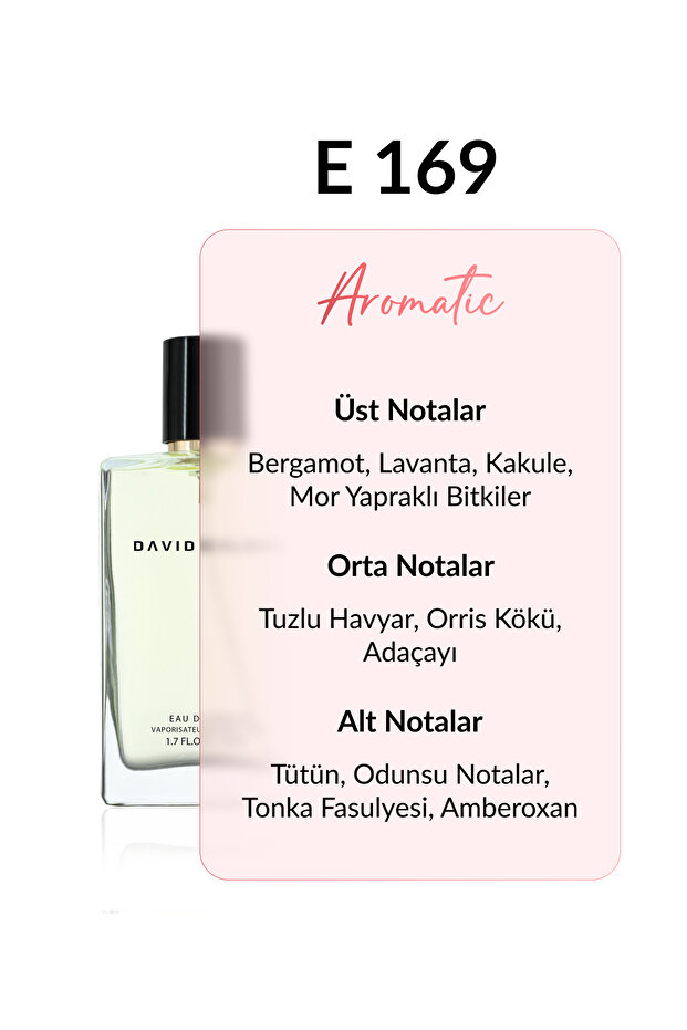 E169 Hampton 50 ml Erkek Parfüm | Aromatic - 3