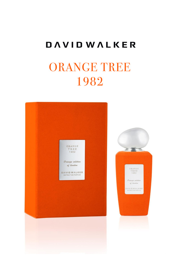 ORANGE TREE 1982 100 ml Parfüm | Citrus - 1