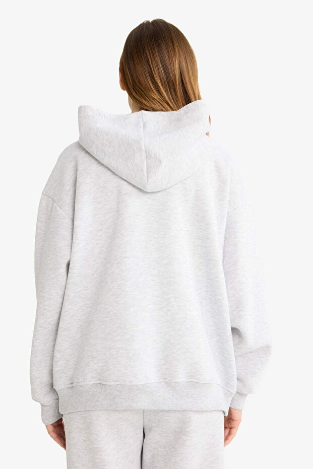 Relax Fit Kapüşonlu Basic Düz Kalın Sweatshirt D9935AX25WN - 6